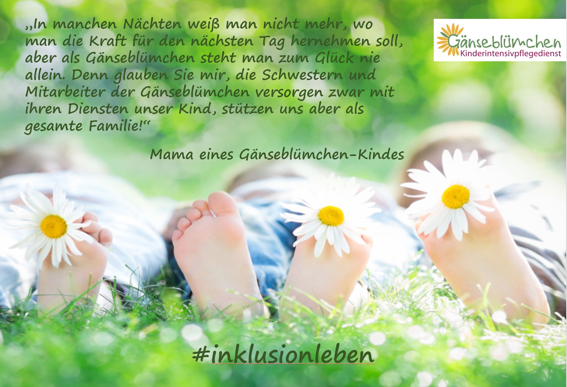 Facebook Kampagne 1 Januar 2020